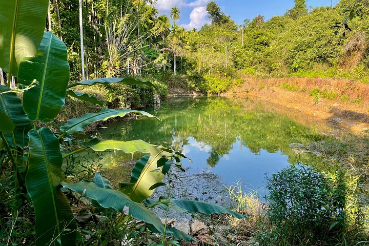 caption (1)